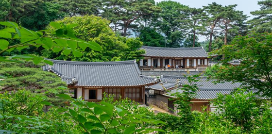 권력의 빛과 그늘이 서린 